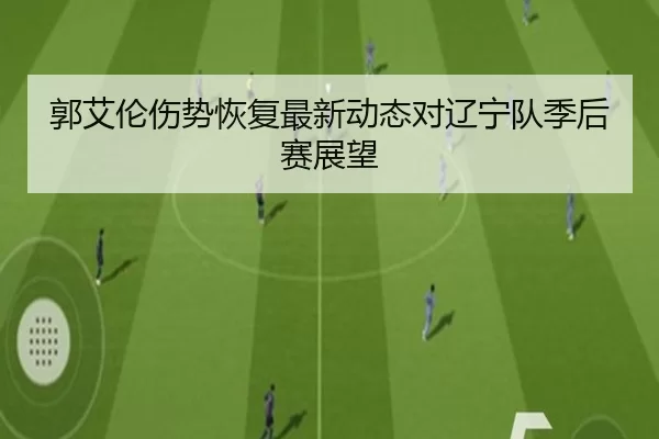 郭艾伦伤势恢复最新动态对辽宁队季后赛展望
