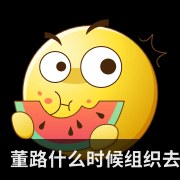 董路什么时候组织去日本打嘉年华_
